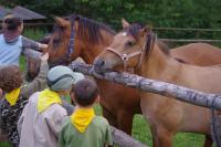 Boy Scout camp visits Miroslav Surovec, July 24, 2014