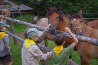 Návštěva Miroslava Surovce se skautským táborem 24. července 2014