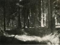 Ze skautského fotoalba