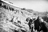 Hello Europe. Under the castle Devín