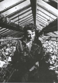 Antonín Kopřiva při práci ve skleníku v Americké domovině