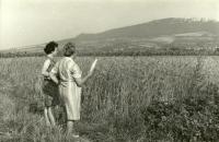 Na procházce za obcí Mušov