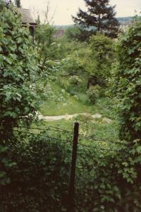 Throught an opening in this fence, Ica Prl supplied food in "Fischers Bunker"