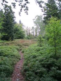 Stezky v Rychlebských horách po níž chodili kurýři se samizdaty