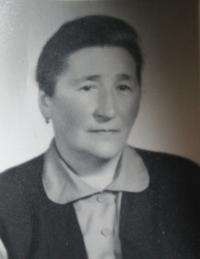 Mother, Marie Vladyková