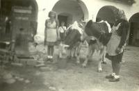 Počátky hospodaření v Dolních Dunajovicích