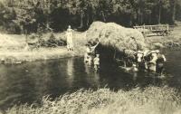 Kosení louky u Vltavy nedaleko Stožce ve 30. letech