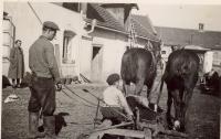 Ota with Tumovi (Vladimir & Marie) on their farm, Kojetice 1940