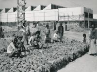 Pokládka štětu vnitrozávodních komunikací Strojírenský závod Malun v Barmě