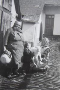 Na hospodářství Kratochvílů v Rozstání