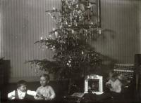 Christmas in Kania family (1932)