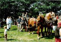 Pan Plíva jako milovník koní, současnost