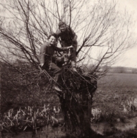  Brigáda v Suši, Zděnka na vrbě, 1955