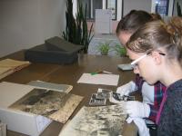 Bádání v archívu