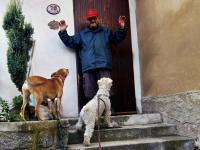 Rudolf Felzmann, penzista na Sněžníku. Při návratu z vycházky (2013)