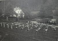 Exercise of the German Gymnastics Association (the Turners) in Bedřichov (Friedrichsdorf in German)