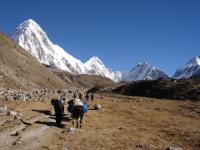 7. Návštěva Nepálu