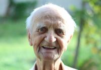 Koloman Hamar (2015)