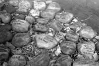 2010 - names of Eva's parents on stones next the old jewish synagogue in Pilsen