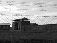 Renata Roušalová, roz. Včeláková