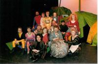 Čapkové Ze života hmyzu, Soubor DZR, Vancouver 1991