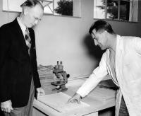 Prof. Krajina s Andrew Hutchinsonem, UBC Vancouver, asi 1950
