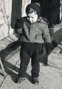 Vilém Lederer na konci okupace