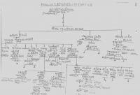Genealogy tree of the Lederer family