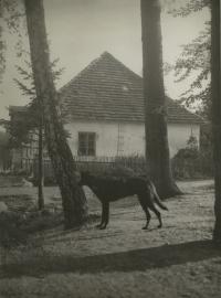 hájovna OBORA 1943 směrem od Pošné