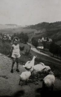 Anita při svých dětských povinnostech, Zelená Hora (okraj Kraslic), 1940 nebo 1941