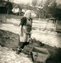 Antonie Nedvídková washes laundry in a stream after World War II in Hlubočec