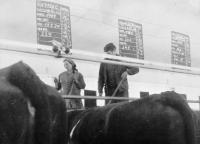 Blažena Nepauerová při práci v kravíně JZD Polička, 70. léta