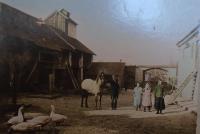 03-statek Velká Bučina 12 -20. léta - vlevo sušárna na chmel