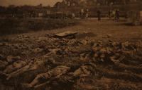 Masový hrob v Třebušicích