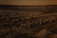 Masový hrob v Třebušicích