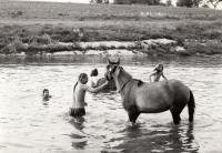 During horse-washing, 1980s