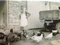 Matka Josefa Cihelníka na dvoře jejich usedlosti č. p. 1 (nedatováno)