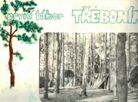 První tábor v Třeboníně