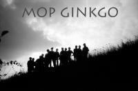 The GINGO group