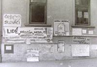 Brno revoluční, 1989