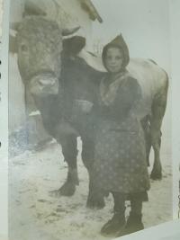 Maria with her kind bull