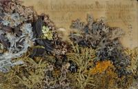 Pohled zaslaný otcem z bojů v Itálii z 1. světové války