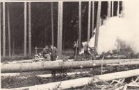 V práci, Miloslav druhý zleva