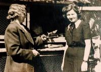 Králíkárna - skrýše dokumentů