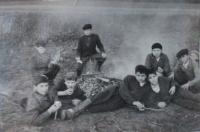 Bramborová brigáda