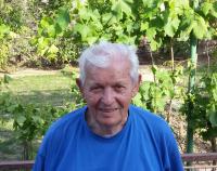 J. Sollár in year 2017