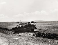 Sinai campaign, remnants of the Egyptian army