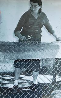 Sestra Anna Chromcová v zaměstnání