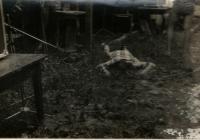 Antirockfest v roce 1986 v Oskavě