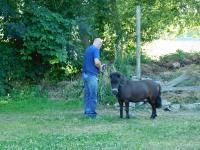 Jan Soldán v roce 2017